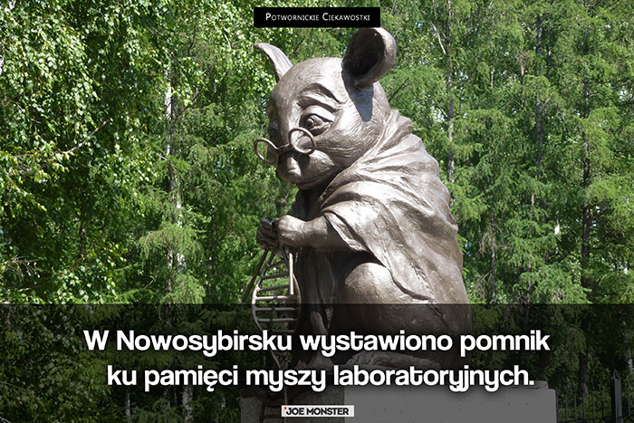 W rosyjskim Nowosybirsku wystawiono pomnik ku pamięci myszy laboratoryjnych.