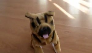 Reakcja labradora na psa-zabawkę