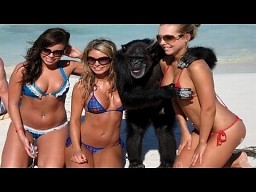 Girl's Fail Compilation 2012 || YDL