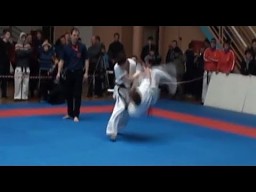  Kyokushin karate KO