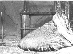 "Stopa słonia" - stopiony rdzeń reaktora w Czarnobylu