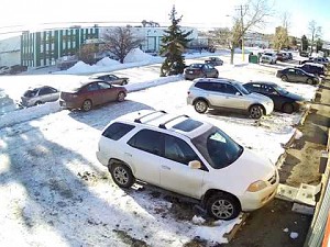 Najgorszy kierowca Kanady próbuje wyjechać z parkingu