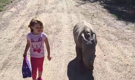 Dzieci dwóch różnych gatunków spacerują sobie drogą