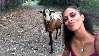 Dziewczyna próbuje zrobić sobie selfie z kozą