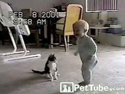 Walka kota z dzieckiem 